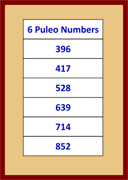 6 puleo numbers w256