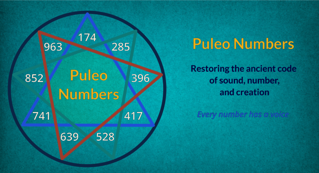 puleo numbers hero homepage